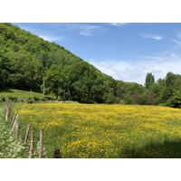 รูปถ่าย ฝรั่งเศส(France) ฟลัวรัก(Floirac) 2018-04 87