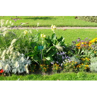รูปถ่าย ฝรั่งเศส(France) ปารีส(Paris) สวนพันธ์ุพืช(Jardin des Plantes) 2007-08 39
