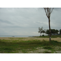 รูปถ่าย ไทย(Thailand) เขาหลัก(Khao Lak) 2005-12 18