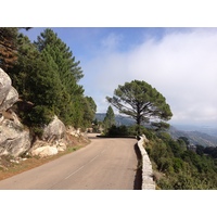 รูปถ่าย ฝรั่งเศส(France) คอร์สิคา(Corsica) ป่าลอสเปดาเล(L'ospedale Forest) 2012-09 14