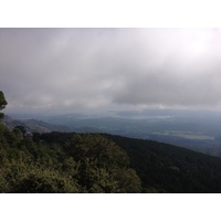 รูปถ่าย ฝรั่งเศส(France) คอร์สิคา(Corsica) ป่าลอสเปดาเล(L'ospedale Forest) 2012-09 31