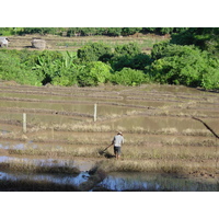 รูปถ่าย ไทย(Thailand) แม่ฮ่องสอน(Mae Hong Son) 2003-07 72