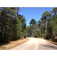 รูปถ่าย ฝรั่งเศส(France) คอร์สิคา(Corsica) ป่าลอสเปดาเล(L'ospedale Forest) 2012-09 23
