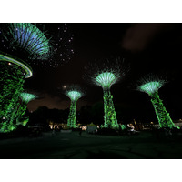 รูปถ่าย สิงคโปร์(Singapore) การ์เดนส์บายเดอะเบย์(Garden by the bay) 2023-01 32