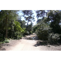 รูปถ่าย ฝรั่งเศส(France) เกาะปอร์เกอรอล(Porquerolles Island) แหลมเลอแก็ง(Pointe du Lequin) 2008-05 69