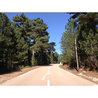 รูปถ่าย ฝรั่งเศส(France) คอร์สิคา(Corsica) ป่าลอสเปดาเล(L'ospedale Forest) 2012-09 34