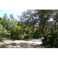 รูปถ่าย ฝรั่งเศส(France) เกาะปอร์เกอรอล(Porquerolles Island) ที่ราบกูร์ตาด(Plaine de la courtade) 2008-05 30