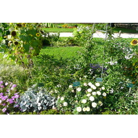 รูปถ่าย ฝรั่งเศส(France) ปารีส(Paris) สวนพันธ์ุพืช(Jardin des Plantes) 2007-08 176