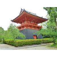รูปถ่าย ญี่ปุ่น(Japan) 2010-06 28