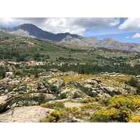 รูปถ่าย ฝรั่งเศส(France) คอร์สิคา(Corsica) ป่าไอโตเน(Aitone Forest) 2021-06 3