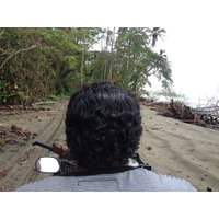 รูปถ่าย คอสตาริกา(Costa Rica) กาอุยตา(Cahuita) 2015-03 190