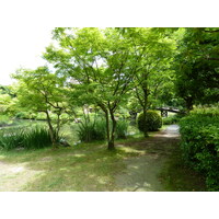 รูปถ่าย ญี่ปุ่น(Japan) เกียวโต(Kyoto) สวนโชเซเอ็ง(Shosei en Garden) 2010-06 16