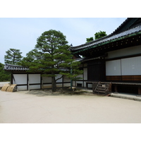 รูปถ่าย ญี่ปุ่น(Japan) เกียวโต(Kyoto) ปราสาทนิโจ(Nijo Castle) 2010-06 92