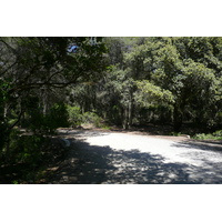 รูปถ่าย ฝรั่งเศส(France) เกาะปอร์เกอรอล(Porquerolles Island) ที่ราบกูร์ตาด(Plaine de la courtade) 2008-05 15