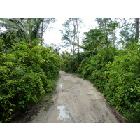 รูปถ่าย เซเชลส์(Seychelles) เกาะลาดีก(La Digue) 2011-10 107