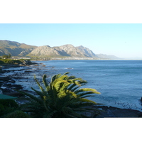 รูปถ่าย แอฟริกาใต้(South Africa) เฮอร์มานัส(Harmanus) 2008-09 197