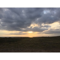 รูปถ่าย ฝรั่งเศส(France) เกาะเอดิก(Hoedic) 2016-08 68