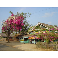 รูปถ่าย พม่า(Myanmar) หาดหม่องมะกัน(Maungmagan beach) 2005-01 43