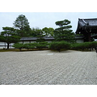 รูปถ่าย ญี่ปุ่น(Japan) เกียวโต(Kyoto) ตำหนักหลวงวัดนินนะจิ(Ninna ji imperial Residence) 2010-06 17