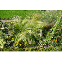 รูปถ่าย ฝรั่งเศส(France) ปารีส(Paris) สวนพันธ์ุพืช(Jardin des Plantes) 2007-08 18