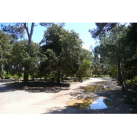 รูปถ่าย ฝรั่งเศส(France) เกาะปอร์เกอรอล(Porquerolles Island) ที่ราบกูร์ตาด(Plaine de la courtade) 2008-05 9