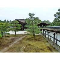 รูปถ่าย ญี่ปุ่น(Japan) เกียวโต(Kyoto) ตำหนักหลวงวัดนินนะจิ(Ninna ji imperial Residence) 2010-06 102