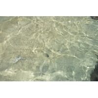 รูปถ่าย เซเชลส์(Seychelles) เกาะมาเฮ(Mahe) 2011-10 43