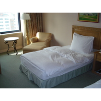 รูปถ่าย คาซัคสถาน(Kazakhstan) อัลมาตี(Almaty) โรงแรมอินเตอร์คอนติเนนตัล อัลมาตี(Intercontinental Almaty Hotel) 2007-03 67