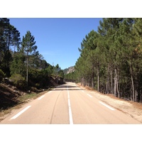 รูปถ่าย ฝรั่งเศส(France) คอร์สิคา(Corsica) ป่าลอสเปดาเล(L'ospedale Forest) 2012-09 61