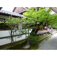 รูปถ่าย ญี่ปุ่น(Japan) เกียวโต(Kyoto) ตำหนักหลวงวัดนินนะจิ(Ninna ji imperial Residence) 2010-06 85