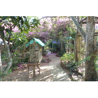รูปถ่าย ไทย(Thailand) เชียงใหม่(Chiang Mai) ฟาร์มงูแม่สา(Mae Sa Snake Farm) 2010-12 39