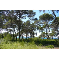 รูปถ่าย ฝรั่งเศส(France) เกาะปอร์เกอรอล(Porquerolles Island) ที่ราบกูร์ตาด(Plaine de la courtade) 2008-05 10