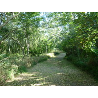 รูปถ่าย ฟิจิ(Fiji) อุทยานแห่งชาติเนินทรายซิงกาโตกา(Sigatoka sand dunes national park) 2010-05 42