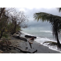 รูปถ่าย คอสตาริกา(Costa Rica) กาอุยตา(Cahuita) 2015-03 143