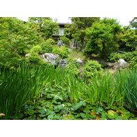 รูปถ่าย ญี่ปุ่น(Japan) เกียวโต(Kyoto) สวนโชเซเอ็ง(Shosei en Garden) 2010-06 81