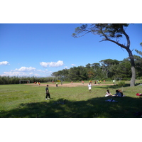 รูปถ่าย ฝรั่งเศส(France) เกาะปอร์เกอรอล(Porquerolles Island) ที่ราบกูร์ตาด(Plaine de la courtade) 2008-05 7