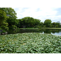 รูปถ่าย ญี่ปุ่น(Japan) เกียวโต(Kyoto) สวนโชเซเอ็ง(Shosei en Garden) 2010-06 71