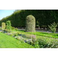 รูปถ่าย ฝรั่งเศส(France) ปารีส(Paris) สวนพันธ์ุพืช(Jardin des Plantes) 2007-08 48