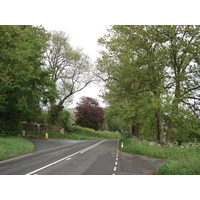 รูปถ่าย อังกฤษ(United Kingdom) อุทยานแห่งชาติเบรคอนบีคอนส์(Brecon Beacons National Park) 2006-05 118