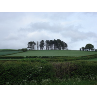 รูปถ่าย อังกฤษ(United Kingdom) อุทยานแห่งชาติเบรคอนบีคอนส์(Brecon Beacons National Park) 2006-05 3
