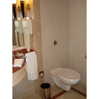 รูปถ่าย คาซัคสถาน(Kazakhstan) อัลมาตี(Almaty) โรงแรมอินเตอร์คอนติเนนตัล อัลมาตี(Intercontinental Almaty Hotel) 2007-03 73
