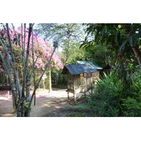 รูปถ่าย ไทย(Thailand) เชียงใหม่(Chiang Mai) ฟาร์มงูแม่สา(Mae Sa Snake Farm) 2010-12 80