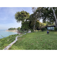 รูปถ่าย ไทย(Thailand) พัทยา(Pattaya) 2024-12 47