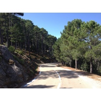 รูปถ่าย ฝรั่งเศส(France) คอร์สิคา(Corsica) ป่าลอสเปดาเล(L'ospedale Forest) 2012-09 10