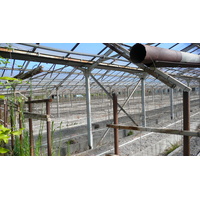 รูปถ่าย ฝรั่งเศส(France) ลาโกด(La Gaude) 2007-07 46