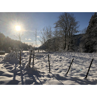 รูปถ่าย สวิสเซอร์แลนด์(Switzerland) ครองส์-มงตานา(Crans Montana) 2020-12 358