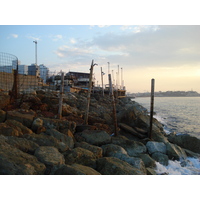 รูปถ่าย อิสราเอล(Israel) เทลอาวีฟ(Tel Aviv) ชายหาดเทลอาวีฟ(Tel Aviv Sea Shore) 2006-12 172