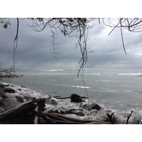 รูปถ่าย คอสตาริกา(Costa Rica) กาอุยตา(Cahuita) 2015-03 84