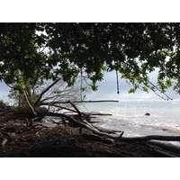 รูปถ่าย คอสตาริกา(Costa Rica) กาอุยตา(Cahuita) 2015-03 83