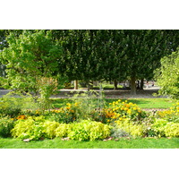 รูปถ่าย ฝรั่งเศส(France) ปารีส(Paris) สวนพันธ์ุพืช(Jardin des Plantes) 2007-08 172